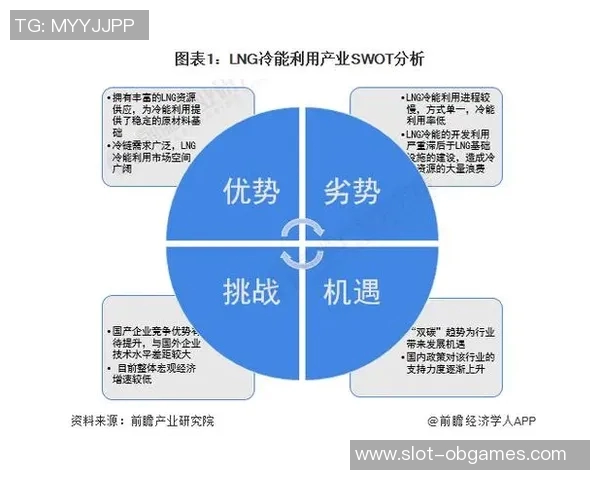 全面解析LNG市场数据分析的实力与表现趋势